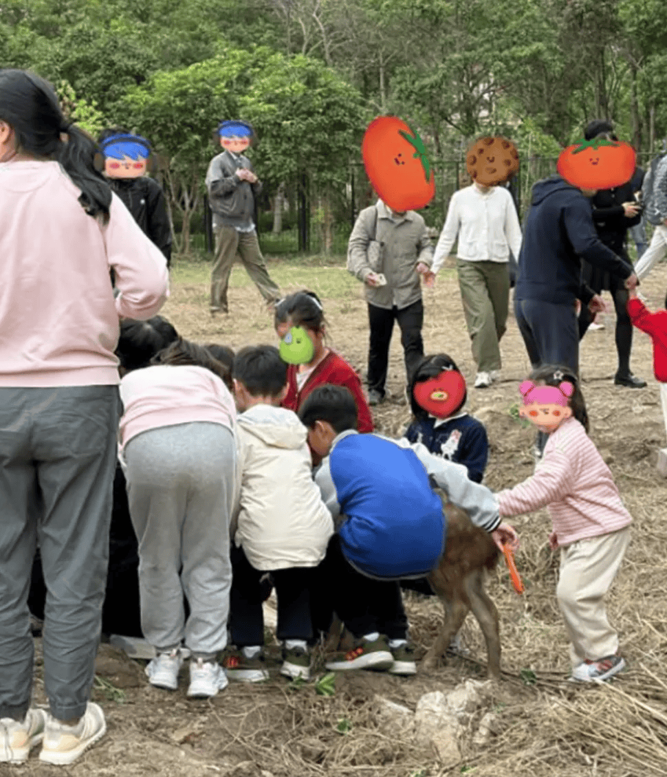 突发公告！上海交大紧急叫停，数百人来围观，工作人员无奈：劝都劝不住