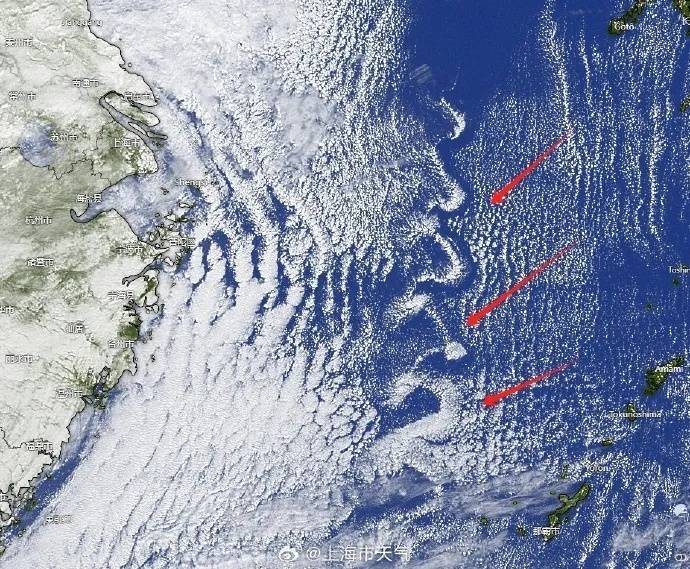 强冷空气发力！上海迎最冷时段：最低温跌至个位数，还有雨