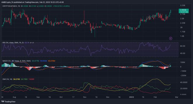 关于BCH-比特现金交易所投资的信息