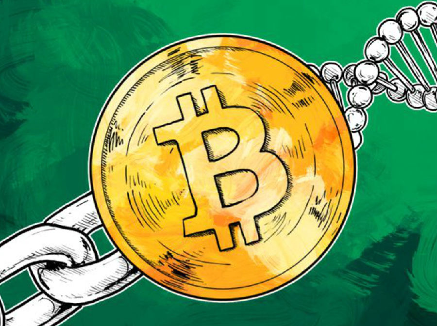 比特现金交易平台(比特现金目前价格是多少)