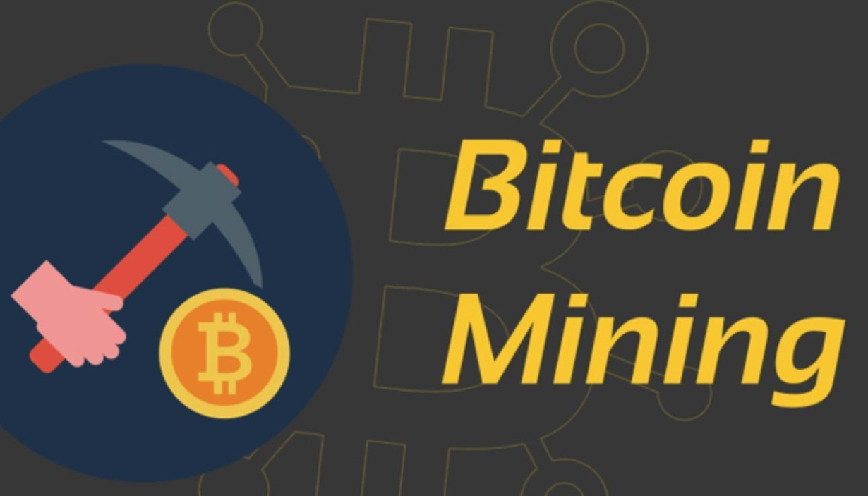 包含BSV-比特币交易所投资的词条