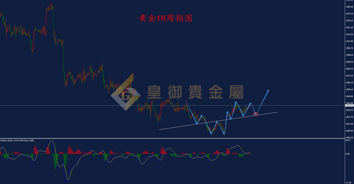 白银贵金属行情分析(贵金属现货白银交易行情)