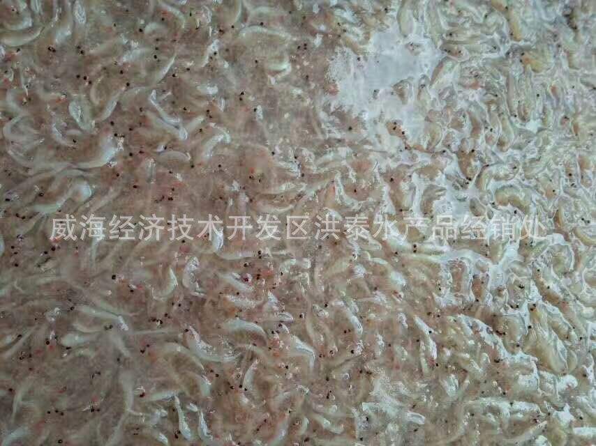 贵金属眼子号(贵金属眼子号高瑞)