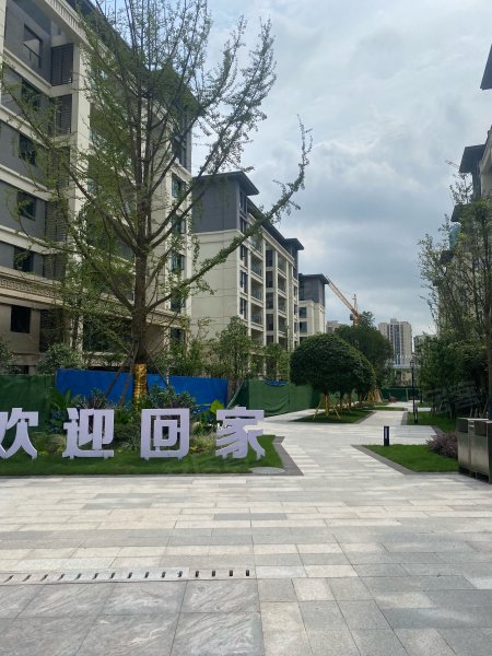 恒鼎贵金属(恒鼎新材料科技集团)