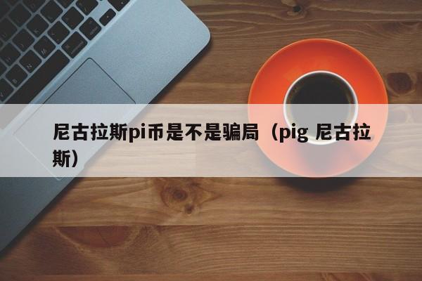 PIG币(piG币在哪个平台买)