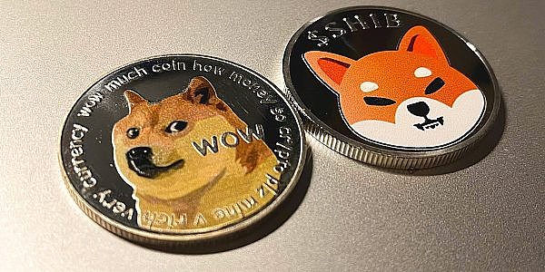 屎币最新价格(屎币最新价格 今日行情币币情)