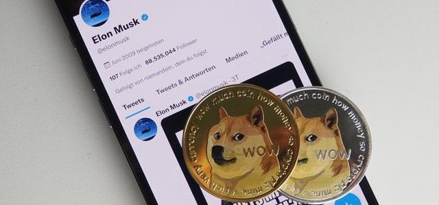 doge币行情(dogemoon币行情)