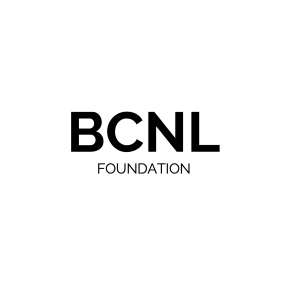 Foundation(foundation的用法)