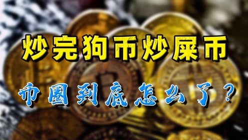 屎币(屎币最高涨了多少倍)