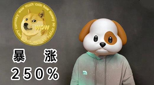 狗狗币暴涨(狗狗币暴涨了多少倍)