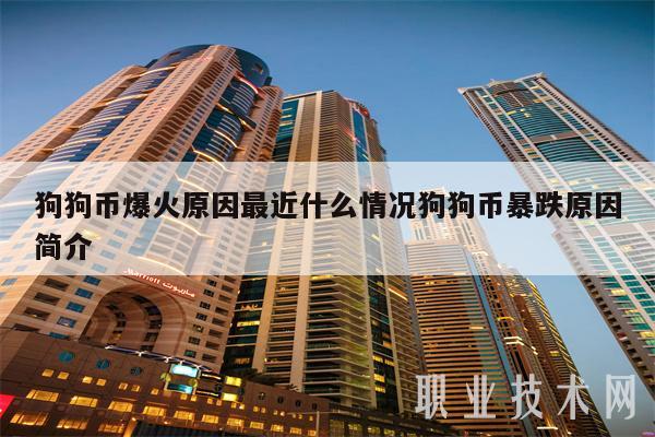 狗狗币暴涨(狗狗币暴涨暴跌历史)