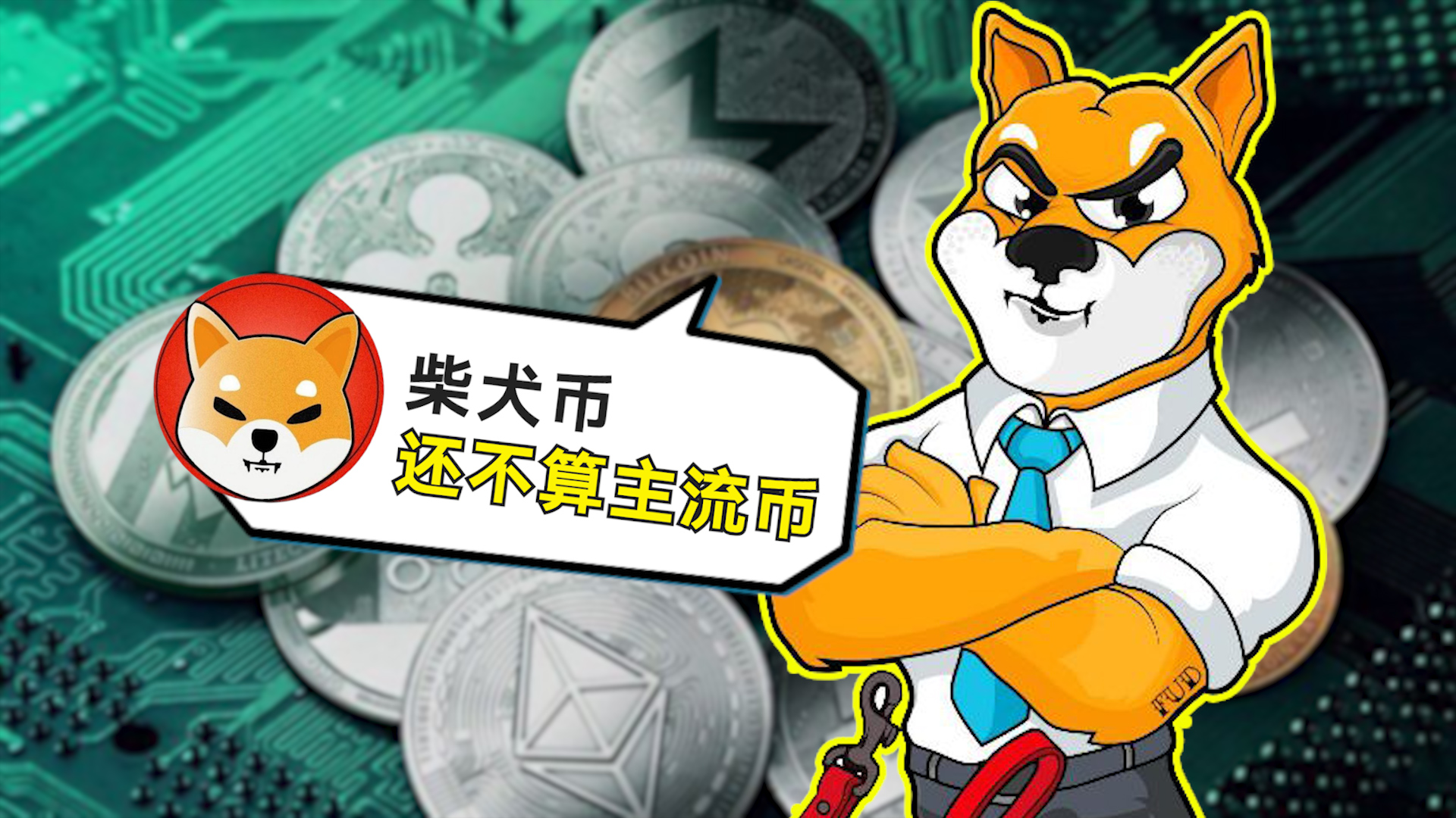 狗狗币暴涨(狗狗币又暴涨)