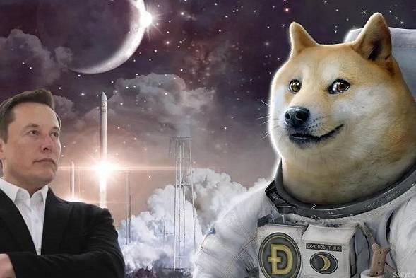 狗狗币行情(狗狗币行情今日价格)