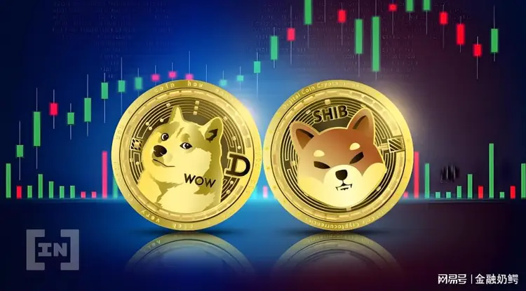 DOGE币(doge币多少钱一枚)