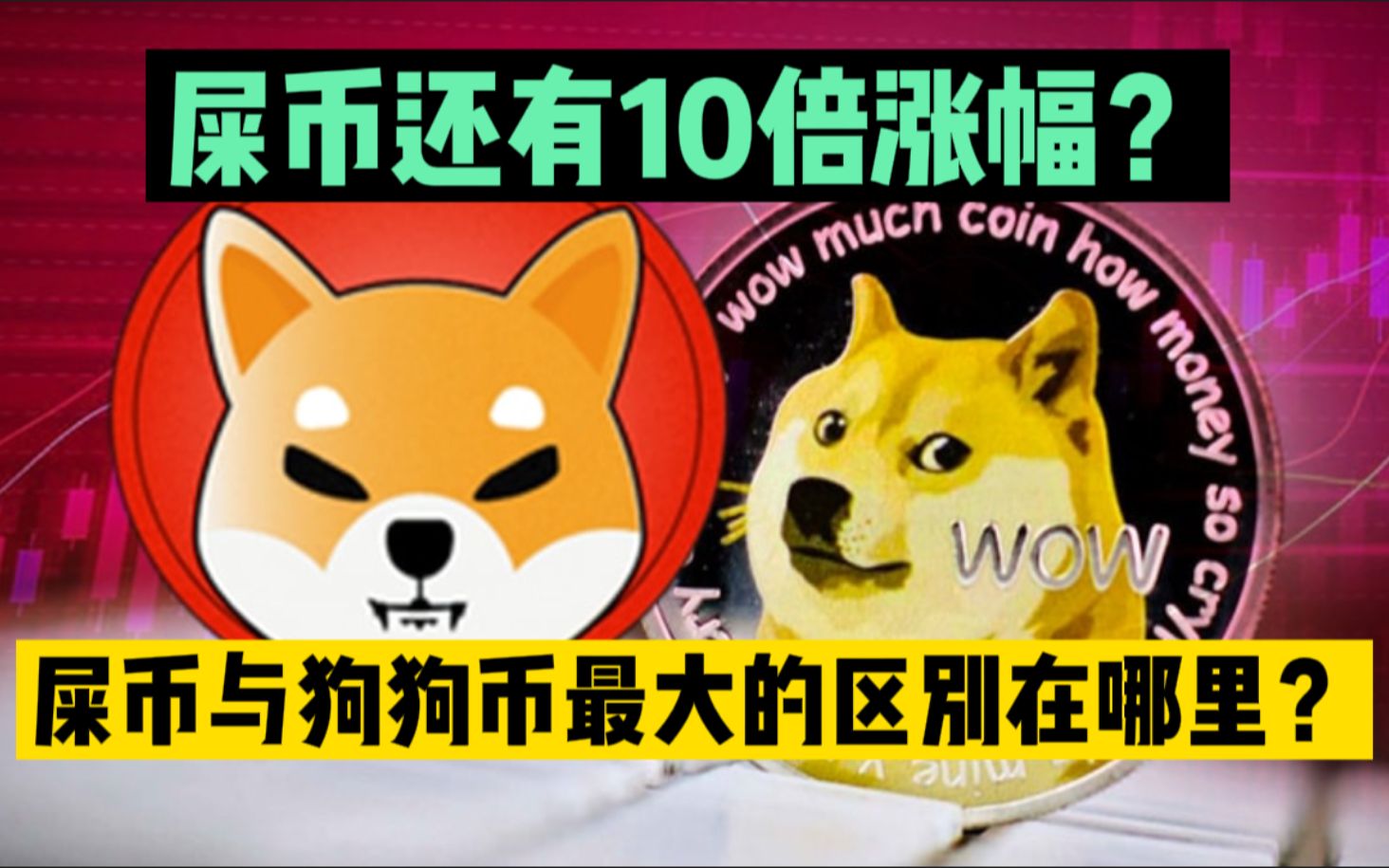 狗狗币行情(狗狗币行情 币排名网)