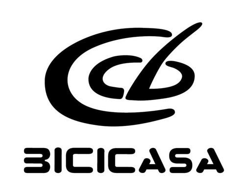 BICC(bicycle怎么读)